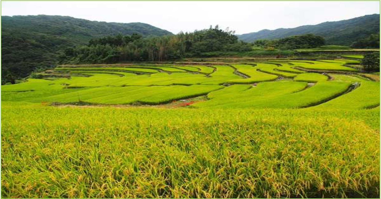 田園風景